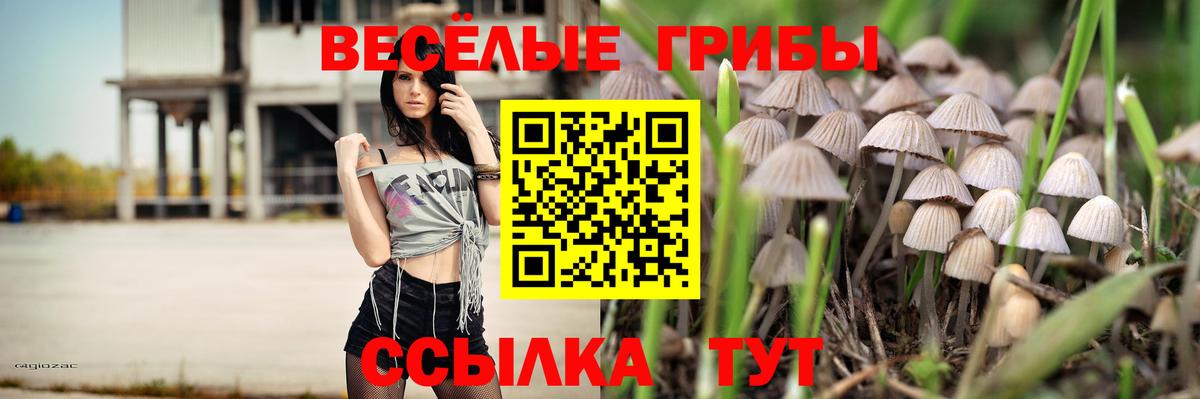 Арсеньев  Псилоцибиновые грибы Psilocybe  Вход с VPN 